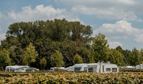 SanneCreuëlsPhotography-Camping'tGeuldal-6.jpg