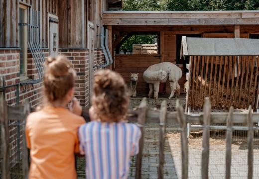 Kinderboerderij
