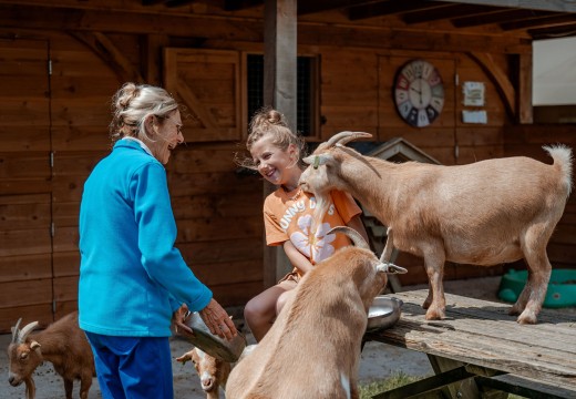 Kinderboerderij