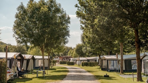 SanneCreuëlsPhotography-Camping'tGeuldal-281.jpg