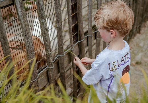 Kinderboerderij