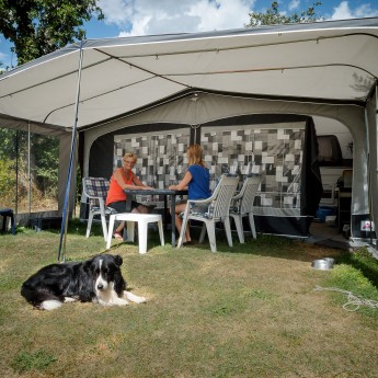 Honden Kampeerplaats met stroom Camping ´t Geuldal Limburg.jpg