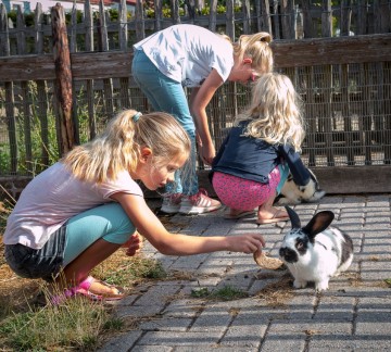 Kinderboerderij Camping 't Geuldal.jpg