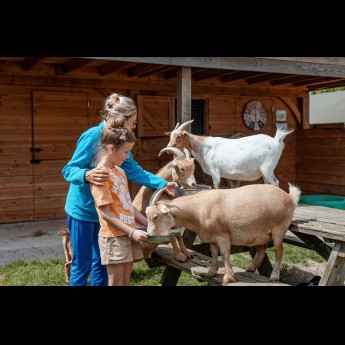 Kinderboerderij