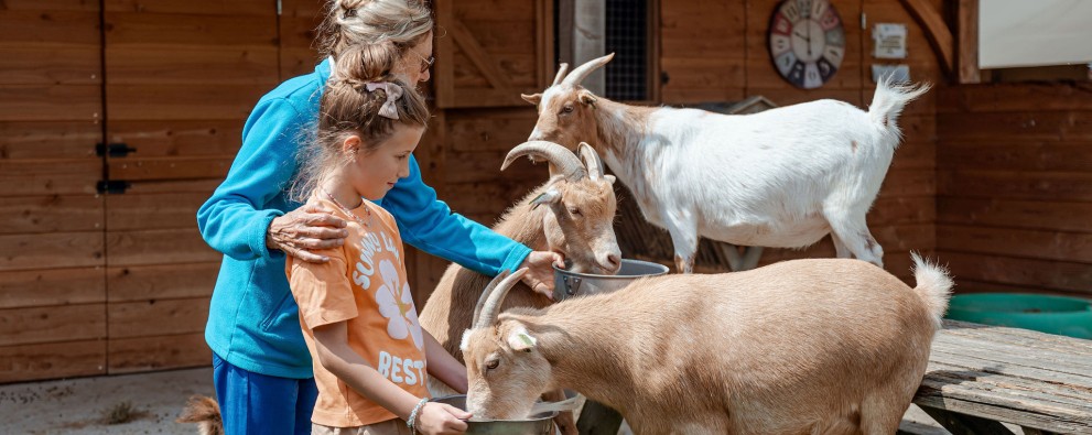 Kinderboerderij