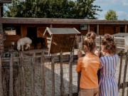 Kinderboerderij