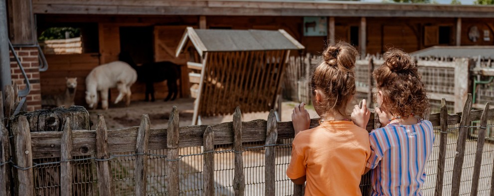 Kinderboerderij