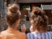 Kinderboerderij