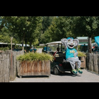 Animatie